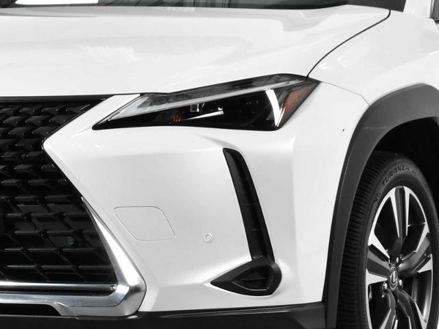 2024 Lexus UX 250h Vehicle Photo in DALLAS, TX 75235