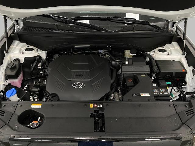 2025 Hyundai PALISADE Vehicle Photo in Appleton, WI 54913