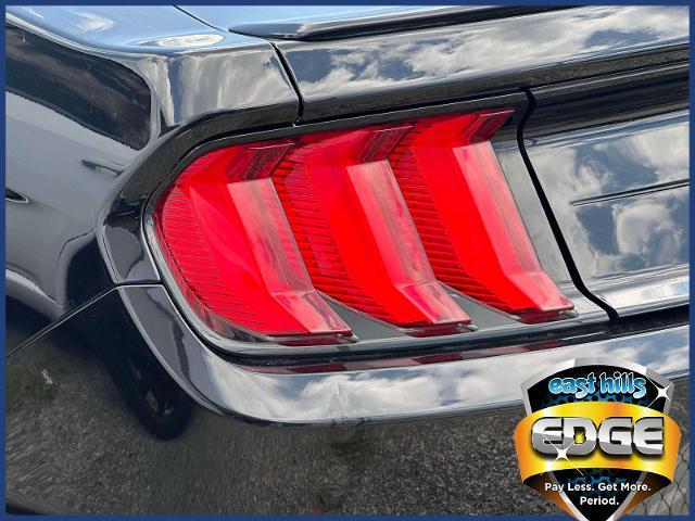2019 Ford Mustang Vehicle Photo in Roslyn, NY 11576