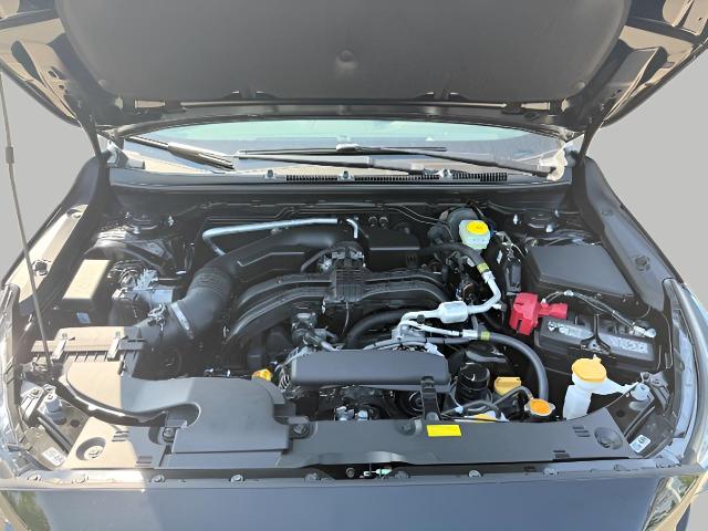 2025 Subaru Crosstrek Vehicle Photo in Oshkosh, WI 54904