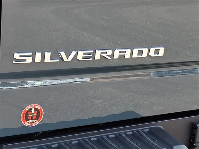 2025 Chevrolet Silverado 1500 Vehicle Photo in MILFORD, DE 19963-6122