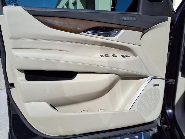 2019 Cadillac Escalade Vehicle Photo in Tampa, FL 33612