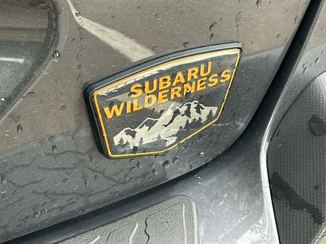 2024 Subaru Crosstrek Vehicle Photo in DALLAS, TX 75209