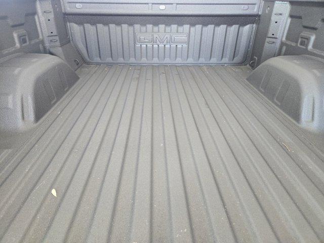2024 GMC Sierra 1500 Vehicle Photo in Decatur, TX 76234