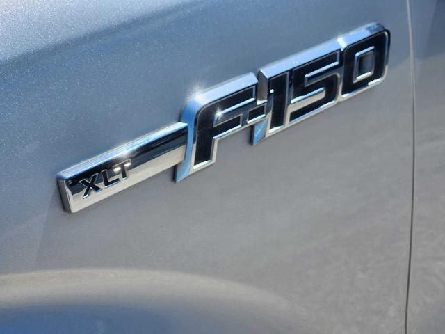 2009 Ford F-150 Vehicle Photo in DENTON, TX 76210-9321