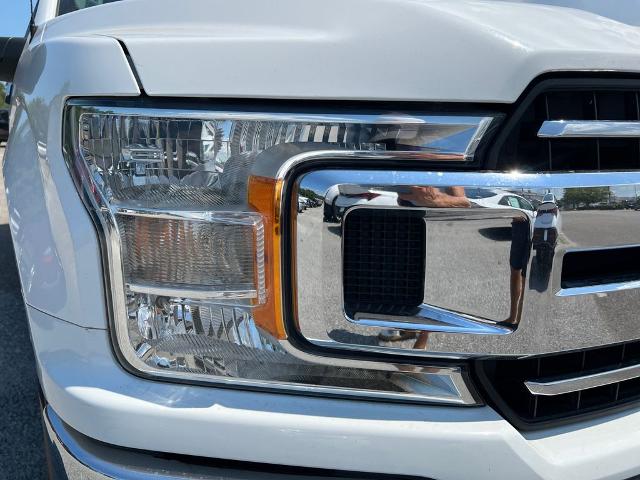 2019 Ford F-150 Vehicle Photo in Brunswick, GA 31525