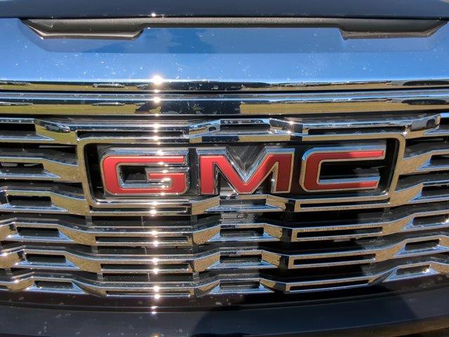 2025 GMC Sierra 1500 Vehicle Photo in ALBERTVILLE, AL 35950-0246