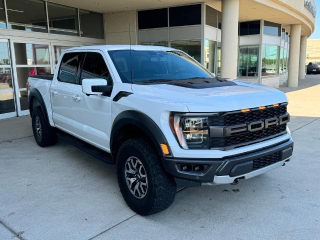 2022 Ford F-150 Vehicle Photo in San Antonio, TX 78230