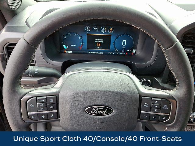 2024 Ford F-150 Vehicle Photo in DANBURY, CT 06810-5034
