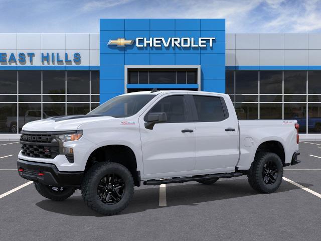 2025 Chevrolet Silverado 1500 Vehicle Photo in Roslyn, NY 11576