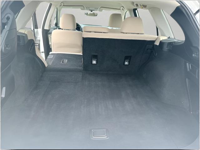 2017 Subaru Outback Vehicle Photo in Oshkosh, WI 54904