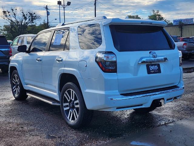 2019 Toyota 4Runner Vehicle Photo in PARIS, TX 75460-2116