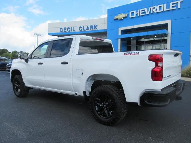2025 Chevrolet Silverado 1500 Vehicle Photo in LEESBURG, FL 34788-4022