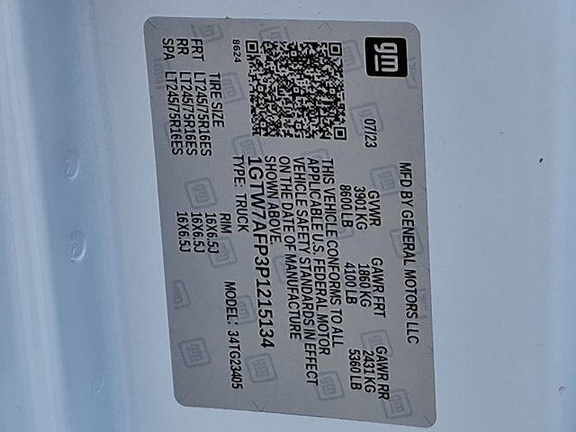 2023 GMC Savana Cargo 2500 Vehicle Photo in DANBURY, CT 06810-5034