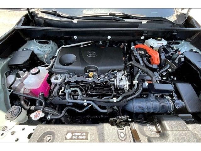 2021 Toyota RAV4 Vehicle Photo in San Antonio, TX 78230