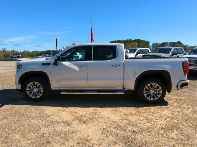 2025 GMC Sierra 1500 Vehicle Photo in ALBERTVILLE, AL 35950-0246