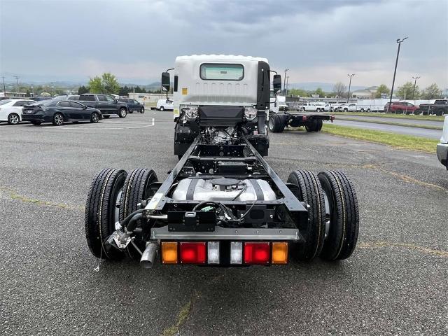 2024 Chevrolet Low Cab Forward 3500 Vehicle Photo in ALCOA, TN 37701-3235