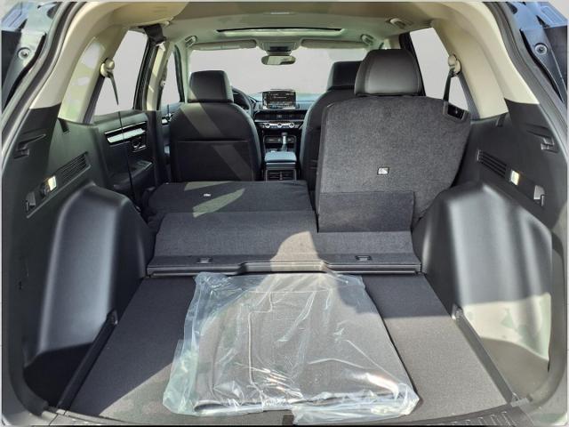 2025 Honda CR-V Vehicle Photo in Oshkosh, WI 54904
