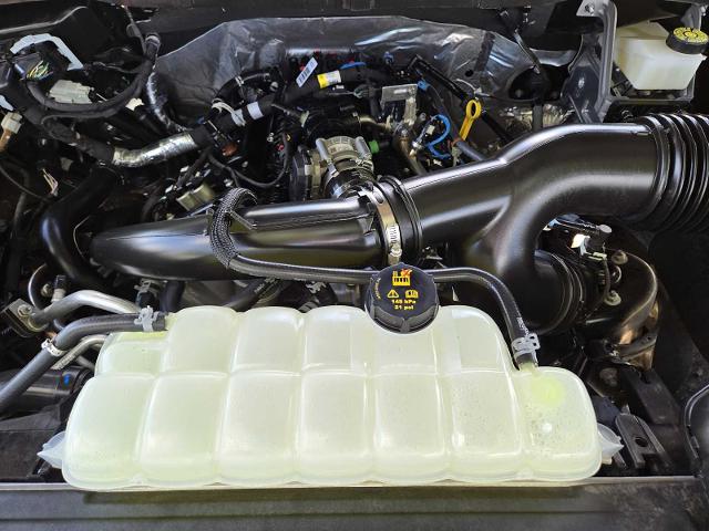 2024 Ford F-150 Vehicle Photo in DENTON, TX 76210-9321