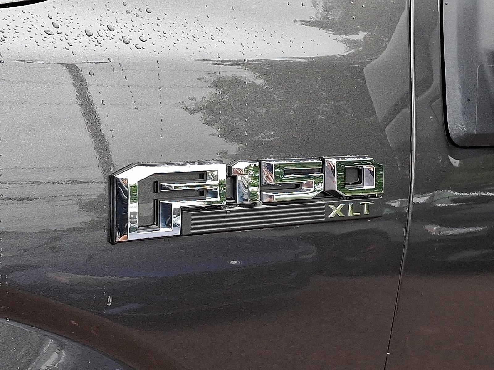 2020 Ford F-150 Vehicle Photo in Willow Grove, PA 19090