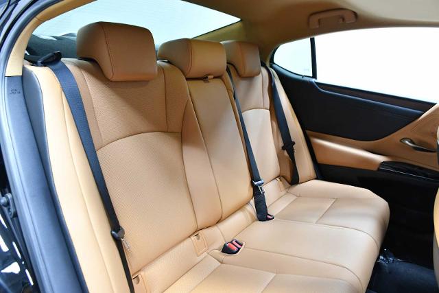 2024 Lexus ES 250 Vehicle Photo in DALLAS, TX 75235