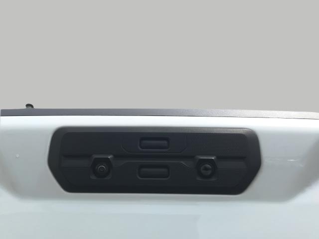 2020 GMC Sierra 1500 Vehicle Photo in GREEN BAY, WI 54303-3330