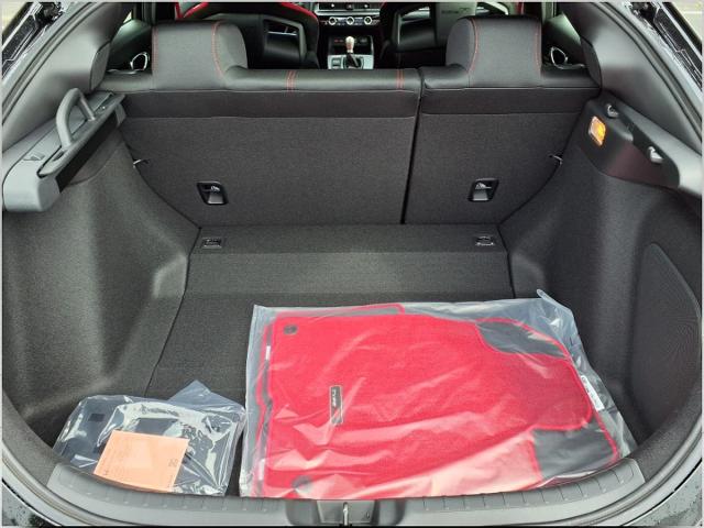 2025 Honda Civic Type R Vehicle Photo in Oshkosh, WI 54904