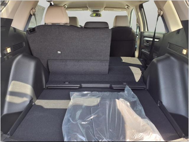 2026 Honda CR-V Vehicle Photo in Oshkosh, WI 54904