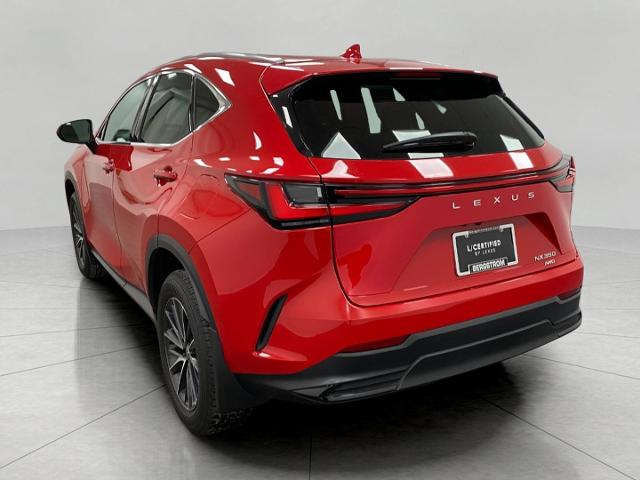 2024 Lexus NX 350 Vehicle Photo in Appleton, WI 54913