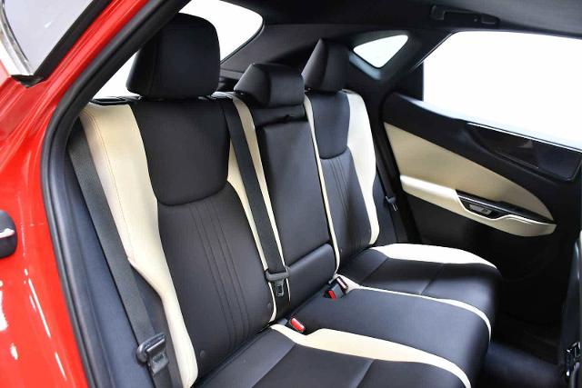 2024 Lexus NX 250 Vehicle Photo in DALLAS, TX 75235