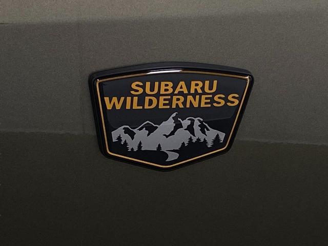 2024 Subaru Outback Vehicle Photo in Appleton, WI 54913