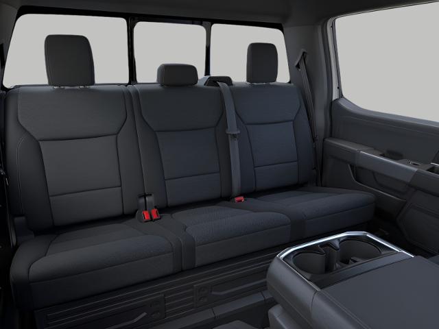 2025 Ford F-150 Vehicle Photo in Neenah, WI 54956
