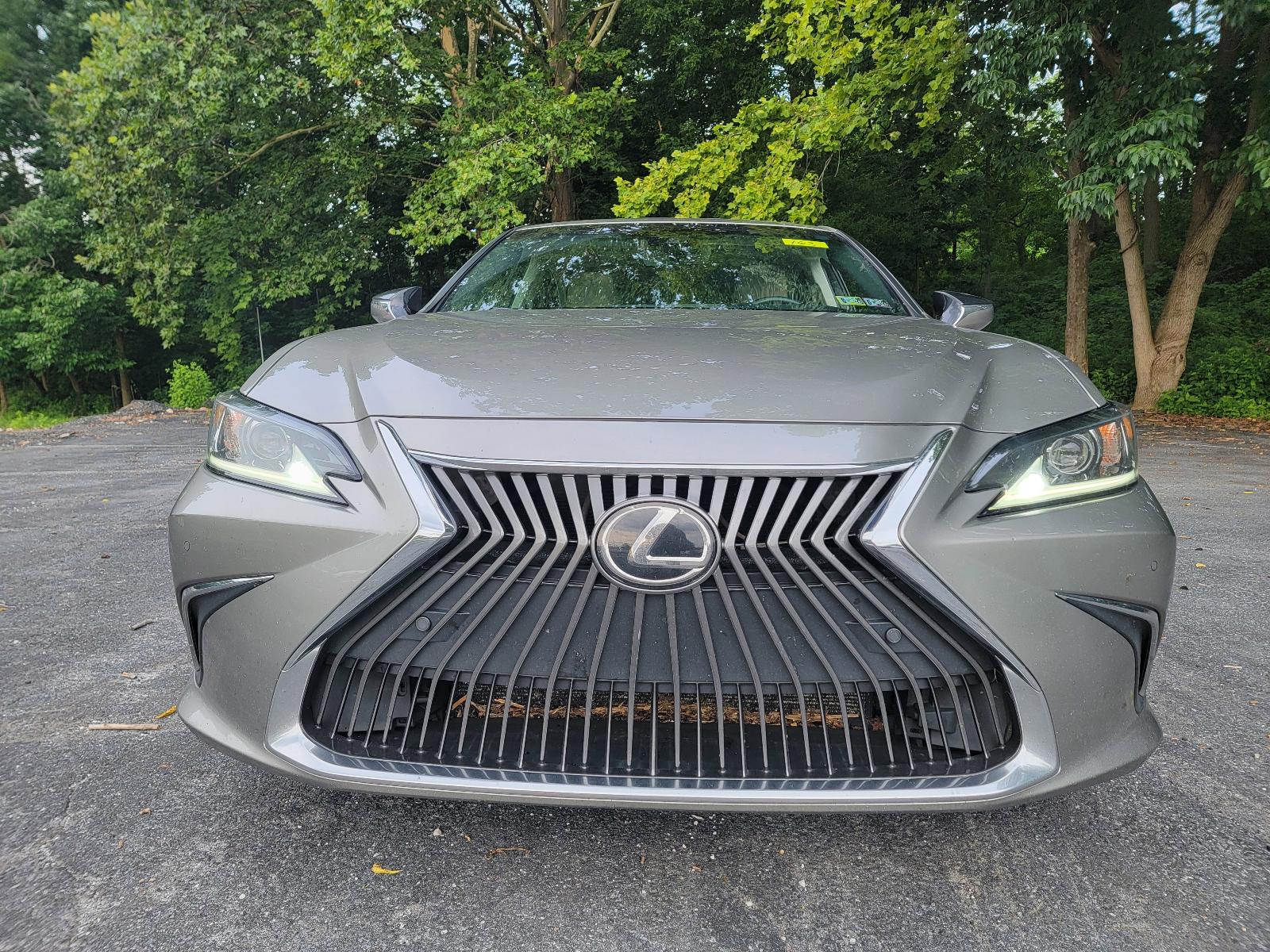 2019 Lexus ES 350 Vehicle Photo in Harrisburg, PA 17111