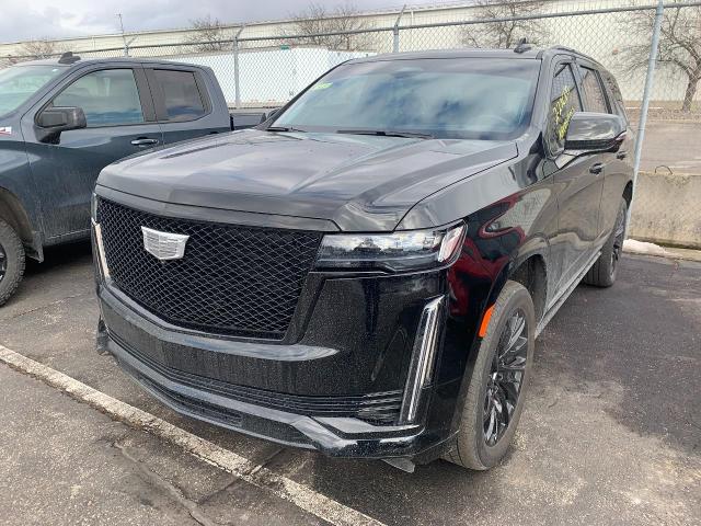 2023 Cadillac Escalade Vehicle Photo in APPLETON, WI 54914-4656