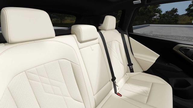 2025 BMW X3 30 xDrive Vehicle Photo in GRAPEVINE, TX 76051