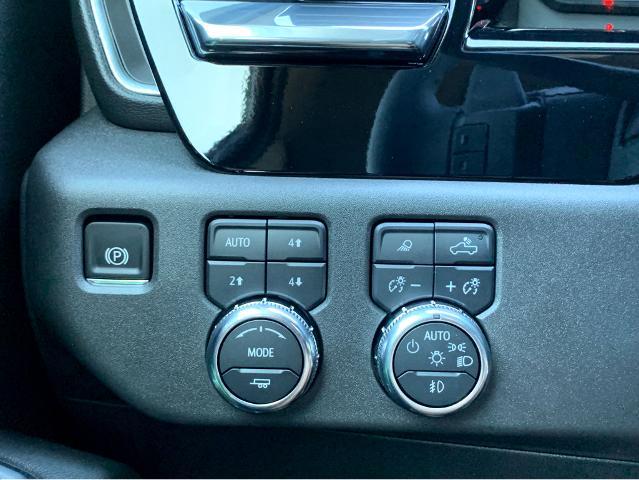 2025 GMC Sierra 1500 Vehicle Photo in BEAUFORT, SC 29906-4218