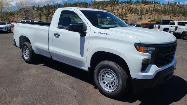 2025 Chevrolet Silverado 1500 Vehicle Photo in FLAGSTAFF, AZ 86001-6214