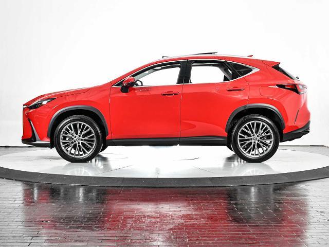 2023 Lexus NX 350 Vehicle Photo in DALLAS, TX 75235