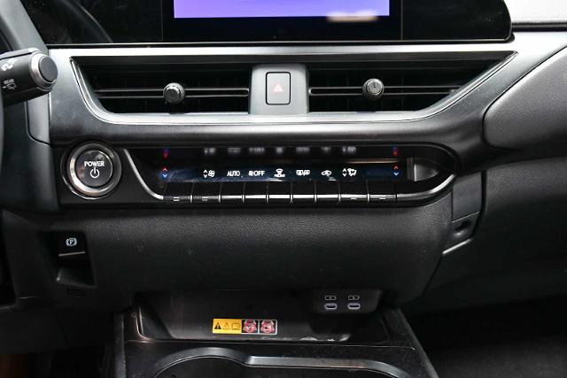 2024 Lexus UX 250h Vehicle Photo in DALLAS, TX 75235