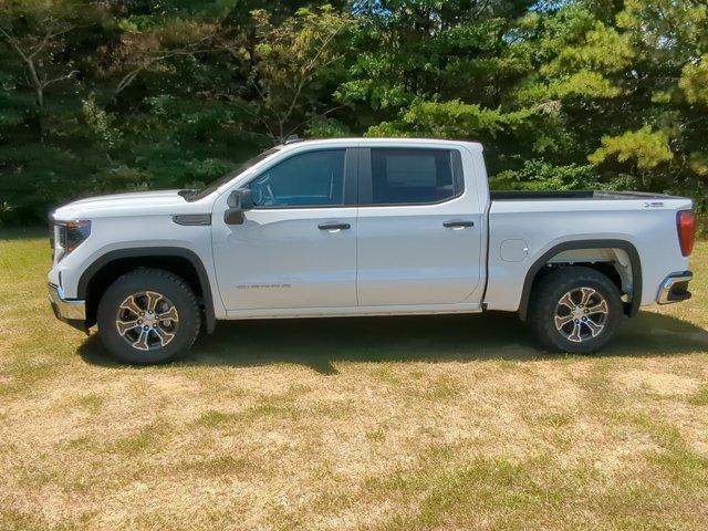 2024 GMC Sierra 1500 Vehicle Photo in ALBERTVILLE, AL 35950-0246