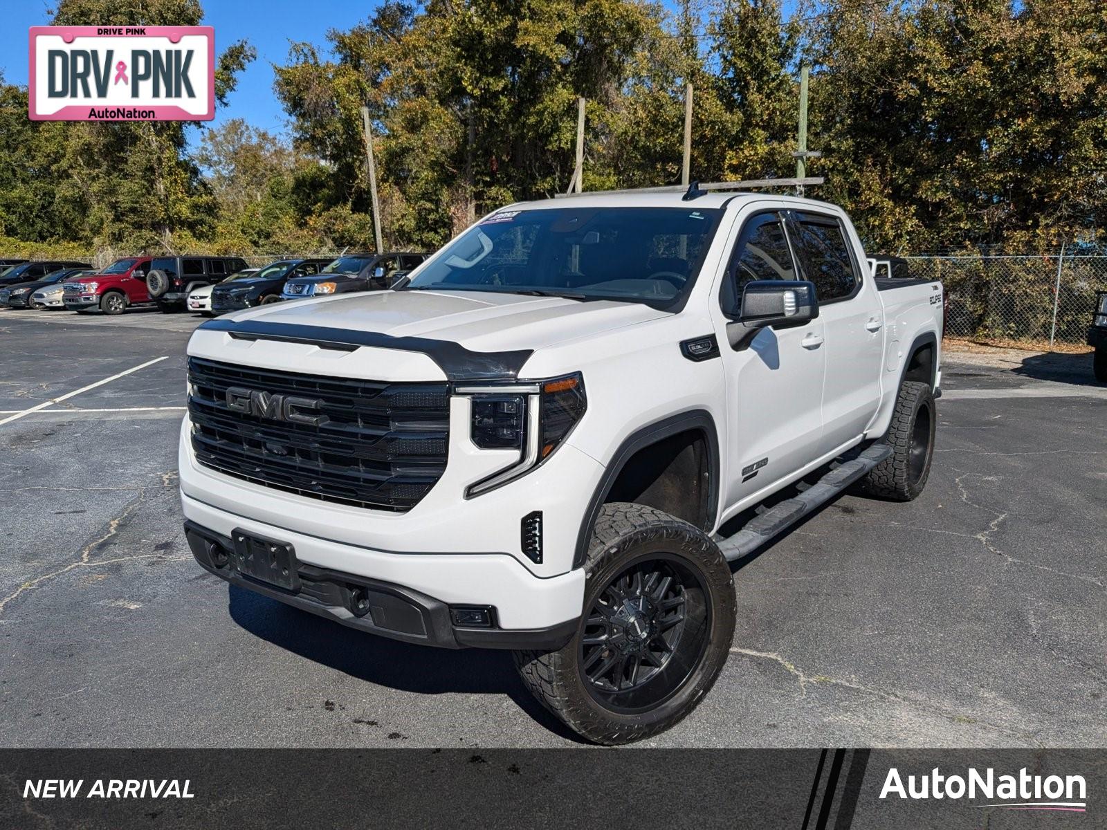 2023 GMC Sierra 1500 Vehicle Photo in Panama City, FL 32401