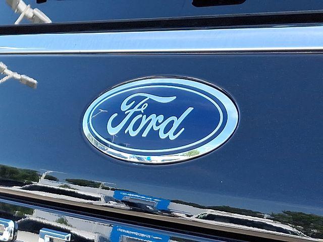 2024 Ford Expedition Vehicle Photo in DANBURY, CT 06810-5034
