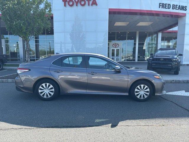 2019 Toyota Camry Vehicle Photo in Flemington, NJ 08822