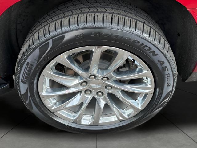 2023 Cadillac Escalade Vehicle Photo in MADISON, WI 53713-3220