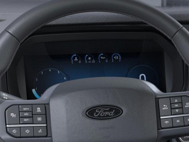 2025 Ford F-150 Vehicle Photo in Oshkosh, WI 54901