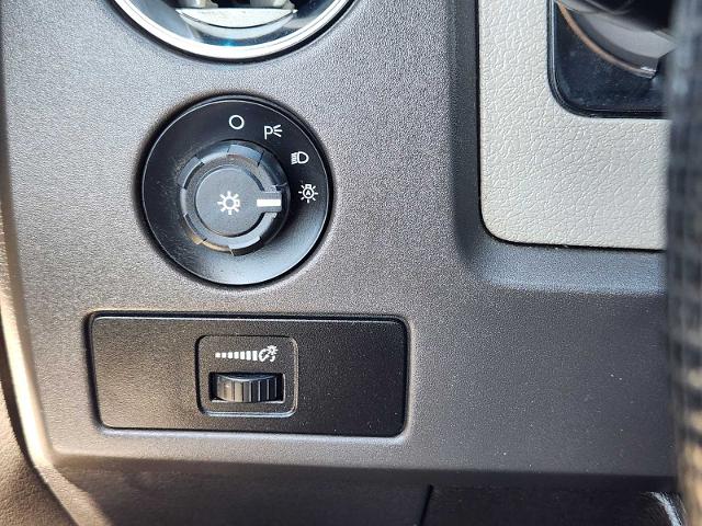 2009 Ford F-150 Vehicle Photo in DENTON, TX 76210-9321
