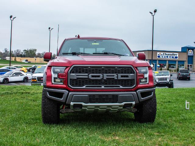 2019 Ford F-150 Vehicle Photo in MADISON, IN 47250-1611