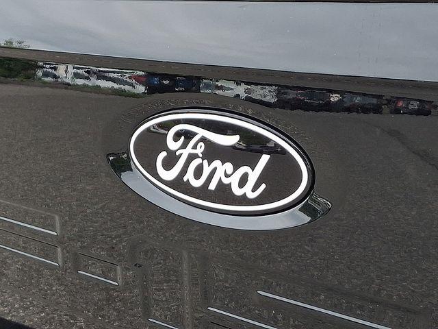 2024 Ford F-150 Vehicle Photo in DANBURY, CT 06810-5034