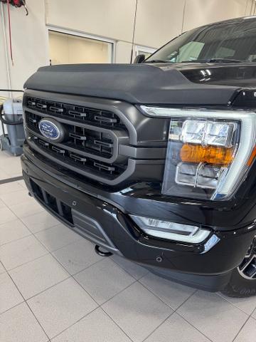 2023 Ford F-150 Vehicle Photo in Peoria, IL 61615