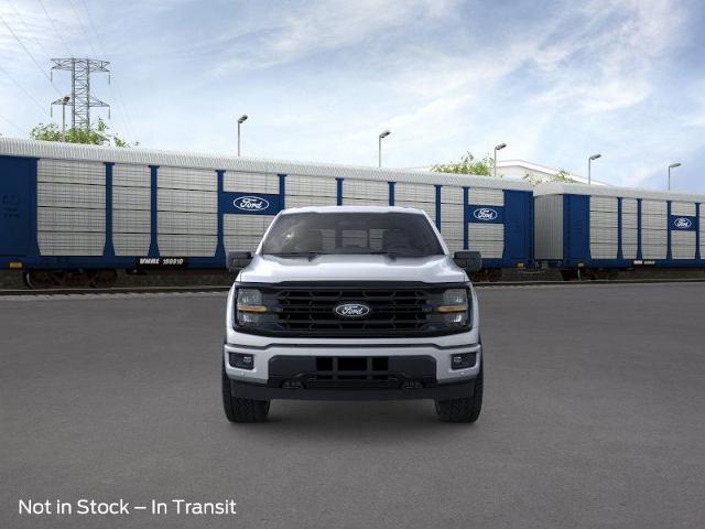 2025 Ford F-150 Vehicle Photo in Weatherford, TX 76087